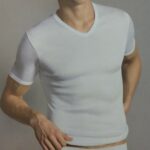 PE1401 modello